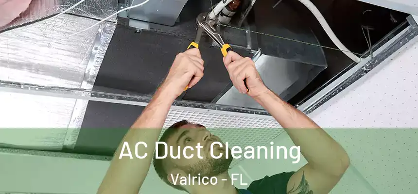 AC Duct Cleaning Valrico - FL