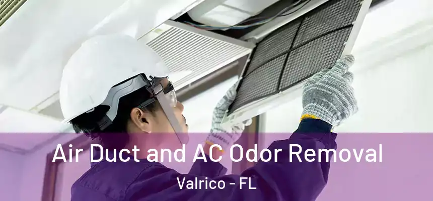 Air Duct and AC Odor Removal Valrico - FL