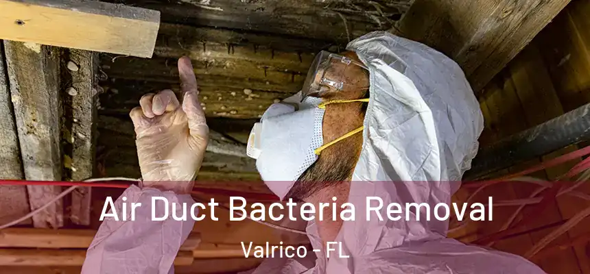Air Duct Bacteria Removal Valrico - FL