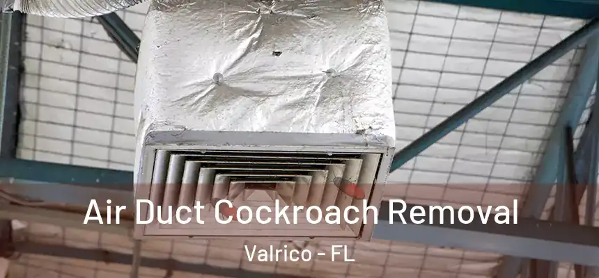 Air Duct Cockroach Removal Valrico - FL