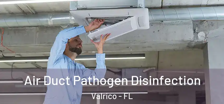 Air Duct Pathogen Disinfection Valrico - FL