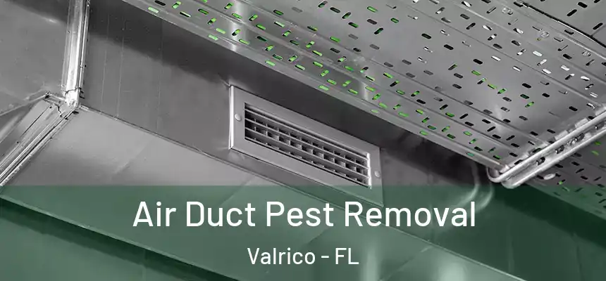 Air Duct Pest Removal Valrico - FL