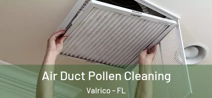 Air Duct Pollen Cleaning Valrico - FL