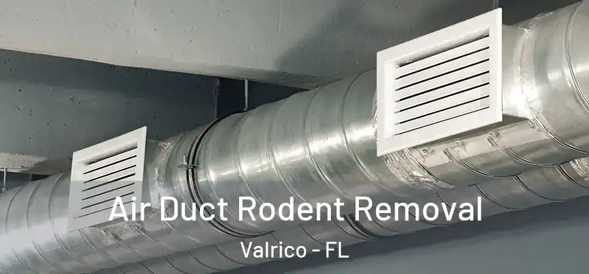 Air Duct Rodent Removal Valrico - FL