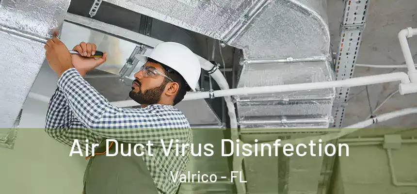Air Duct Virus Disinfection Valrico - FL