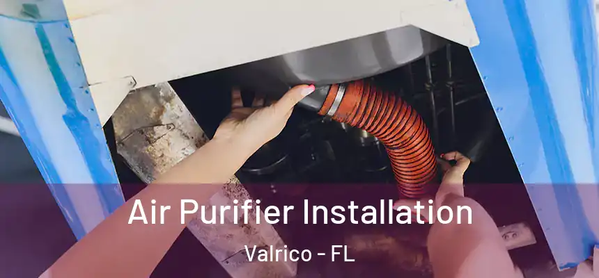 Air Purifier Installation Valrico - FL
