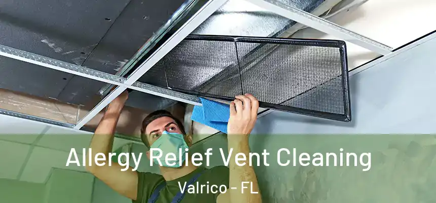 Allergy Relief Vent Cleaning Valrico - FL