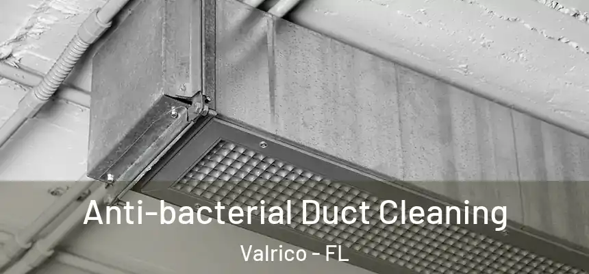 Anti-bacterial Duct Cleaning Valrico - FL