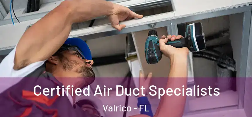 Certified Air Duct Specialists Valrico - FL