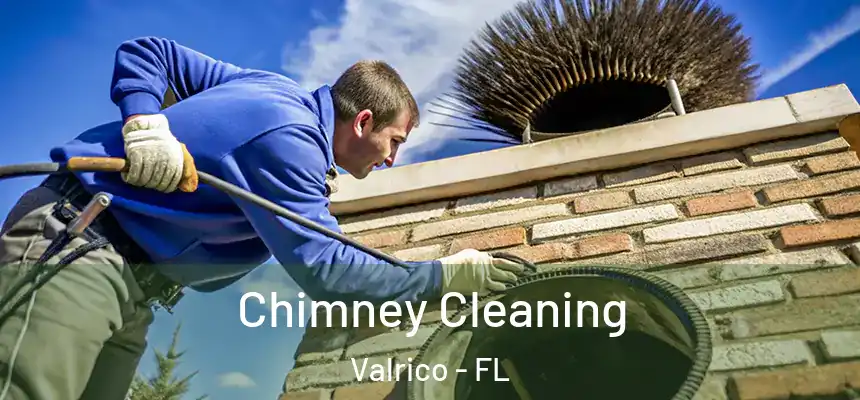 Chimney Cleaning Valrico - FL