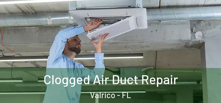 Clogged Air Duct Repair Valrico - FL