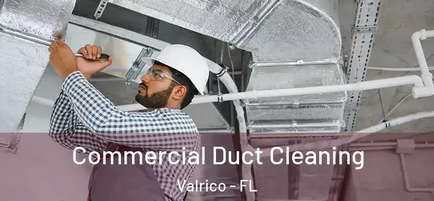 Commercial Duct Cleaning Valrico - FL