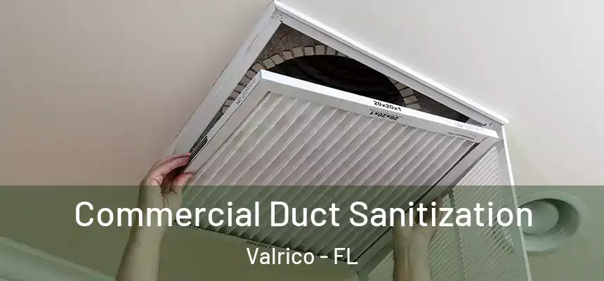 Commercial Duct Sanitization Valrico - FL