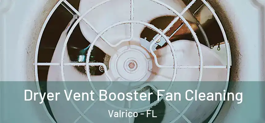 Dryer Vent Booster Fan Cleaning Valrico - FL
