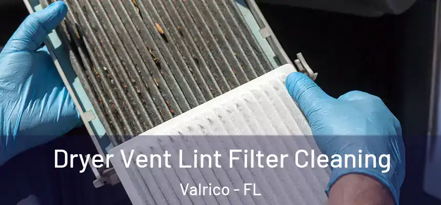 Dryer Vent Lint Filter Cleaning Valrico - FL