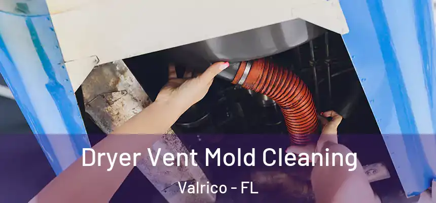 Dryer Vent Mold Cleaning Valrico - FL