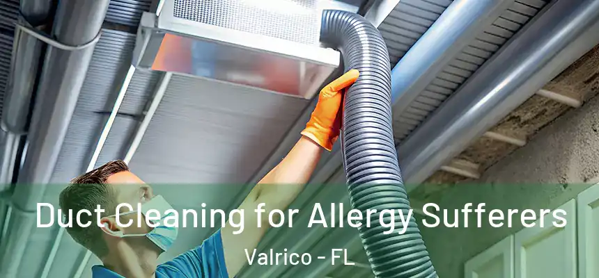 Duct Cleaning for Allergy Sufferers Valrico - FL