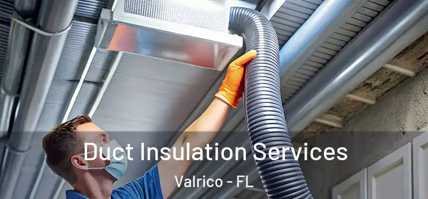 Duct Insulation Services Valrico - FL