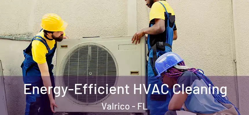 Energy-Efficient HVAC Cleaning Valrico - FL