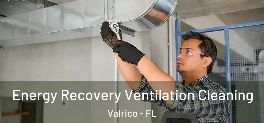 Energy Recovery Ventilation Cleaning Valrico - FL
