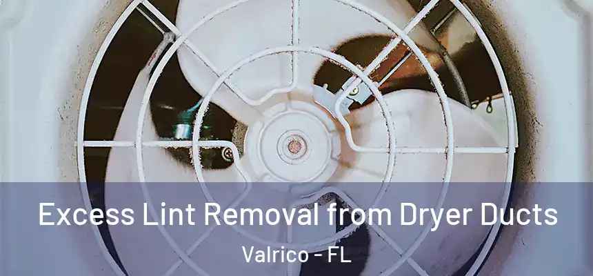 Excess Lint Removal from Dryer Ducts Valrico - FL