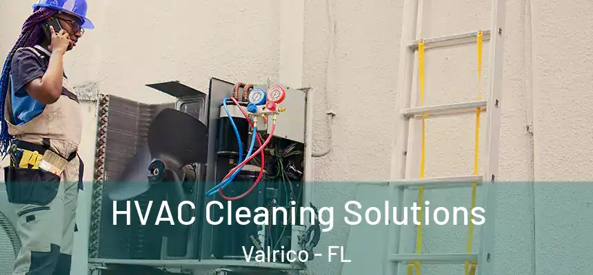 HVAC Cleaning Solutions Valrico - FL