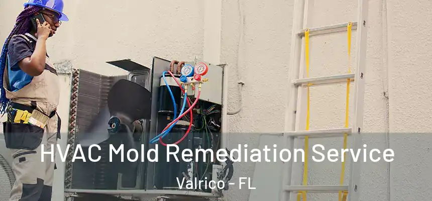 HVAC Mold Remediation Service Valrico - FL
