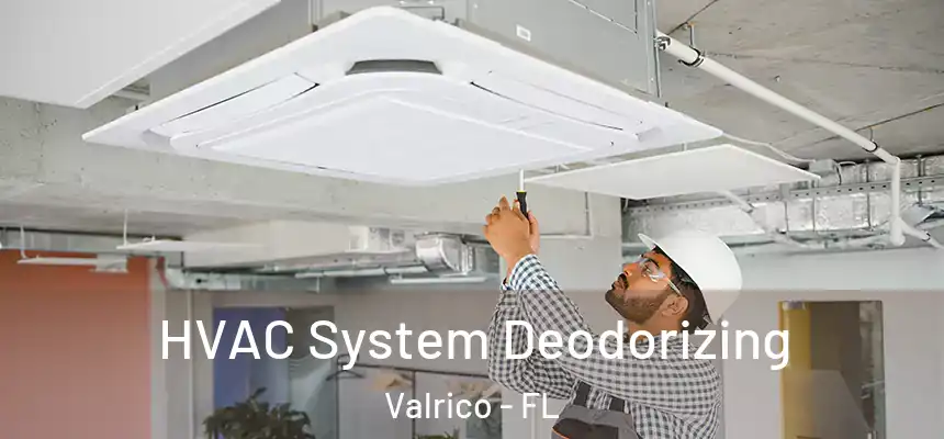 HVAC System Deodorizing Valrico - FL