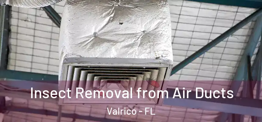 Insect Removal from Air Ducts Valrico - FL