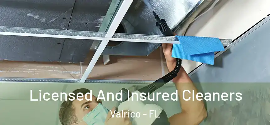 Licensed And Insured Cleaners Valrico - FL