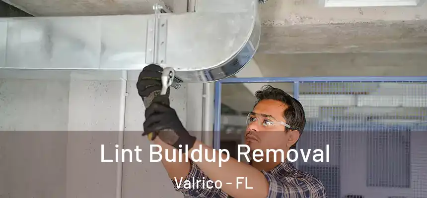 Lint Buildup Removal Valrico - FL
