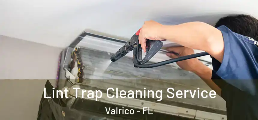 Lint Trap Cleaning Service Valrico - FL