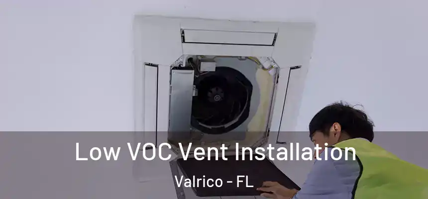 Low VOC Vent Installation Valrico - FL