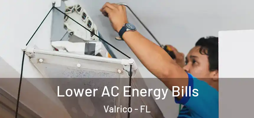 Lower AC Energy Bills Valrico - FL