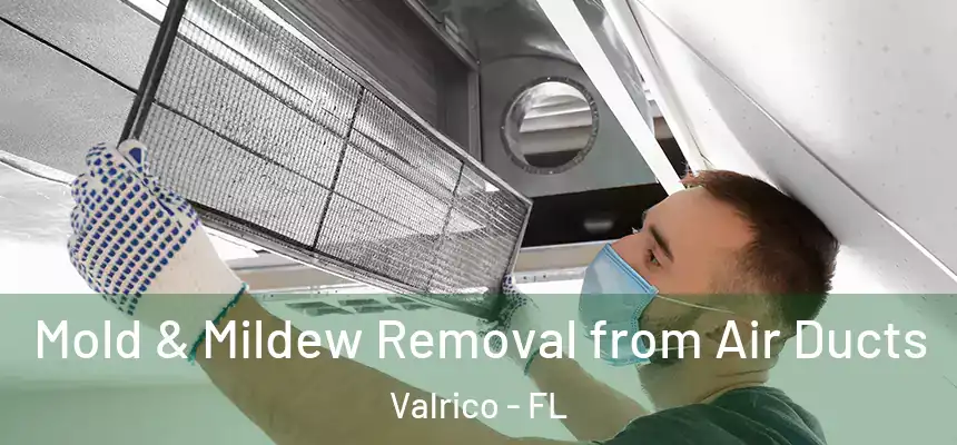 Mold & Mildew Removal from Air Ducts Valrico - FL
