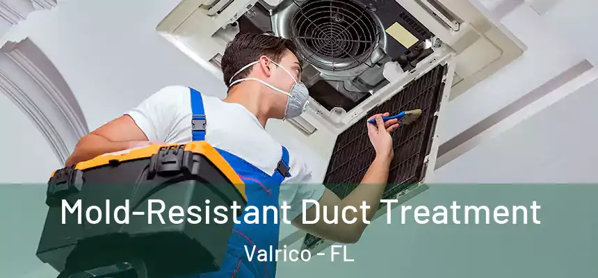 Mold-Resistant Duct Treatment Valrico - FL