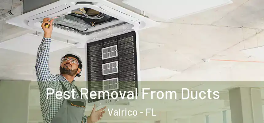 Pest Removal From Ducts Valrico - FL