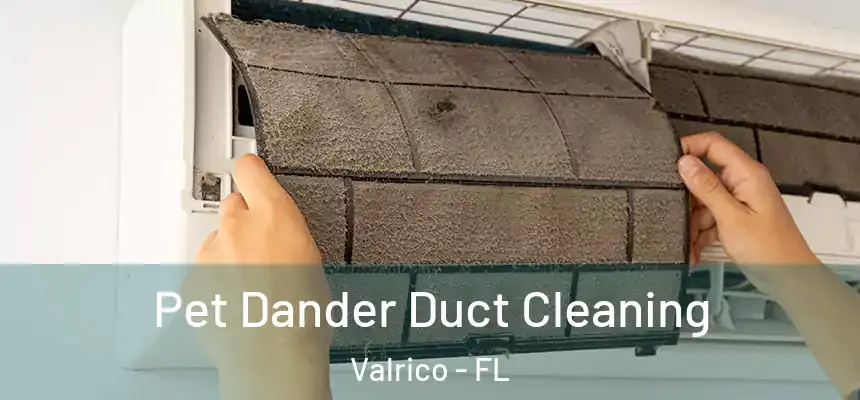Pet Dander Duct Cleaning Valrico - FL