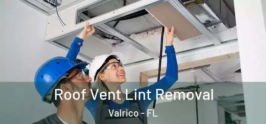 Roof Vent Lint Removal Valrico - FL