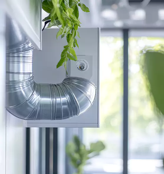 Professional Eco-Friendly Duct Cleaning Services in Valrico, FL