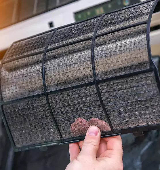 About Pet Dander Duct Cleaning in Valrico, FL