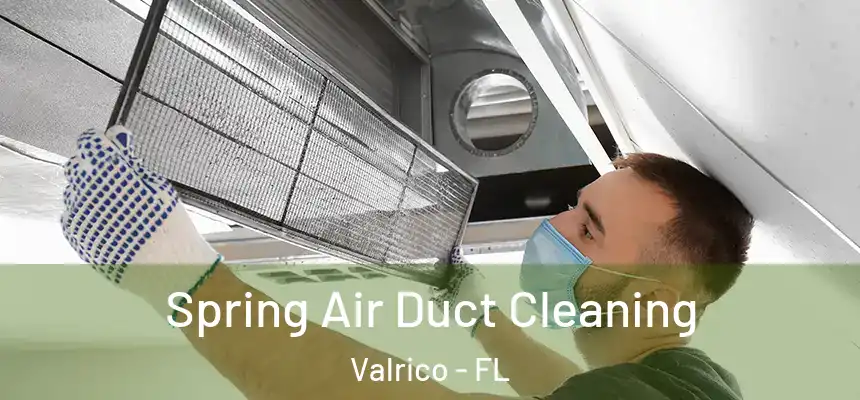 Spring Air Duct Cleaning Valrico - FL