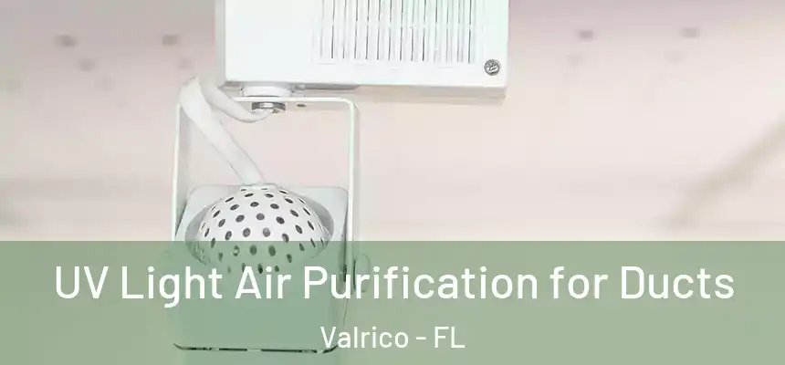UV Light Air Purification for Ducts Valrico - FL