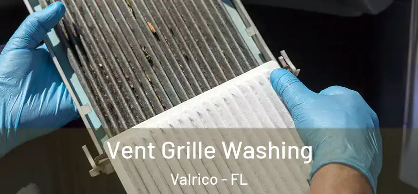 Vent Grille Washing Valrico - FL