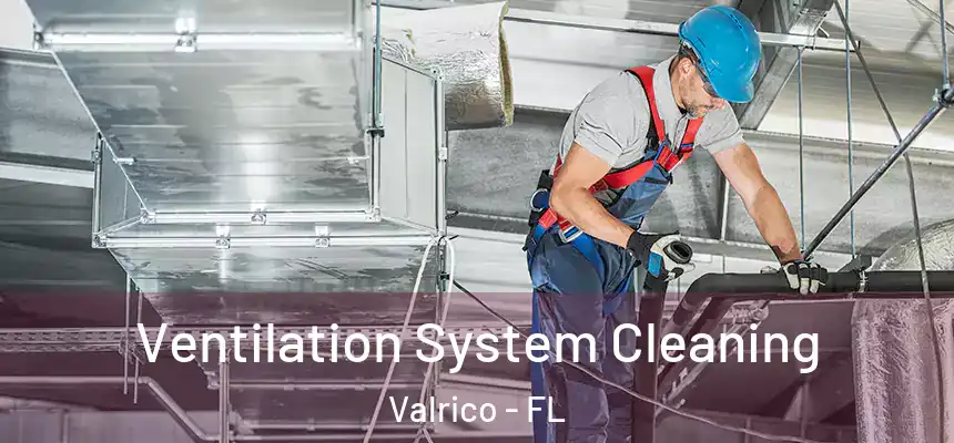 Ventilation System Cleaning Valrico - FL