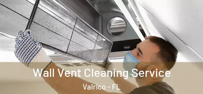 Wall Vent Cleaning Service Valrico - FL